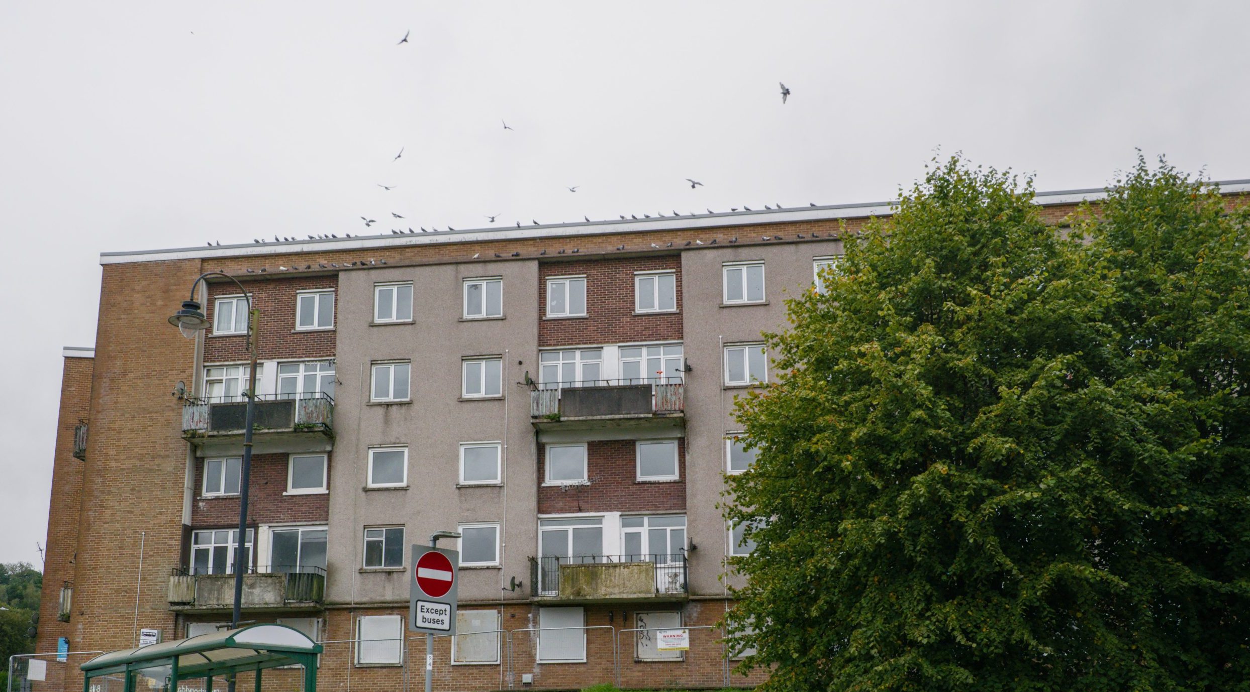 Trivallis Housing Landlord Wales A four-story residential building with grey and brown exterior. A no-entry road sign is visible in front. There is a bus stop with a green shelter on the left. A person is walking towards it. The building has several balconies and windows. A tree is on the right.