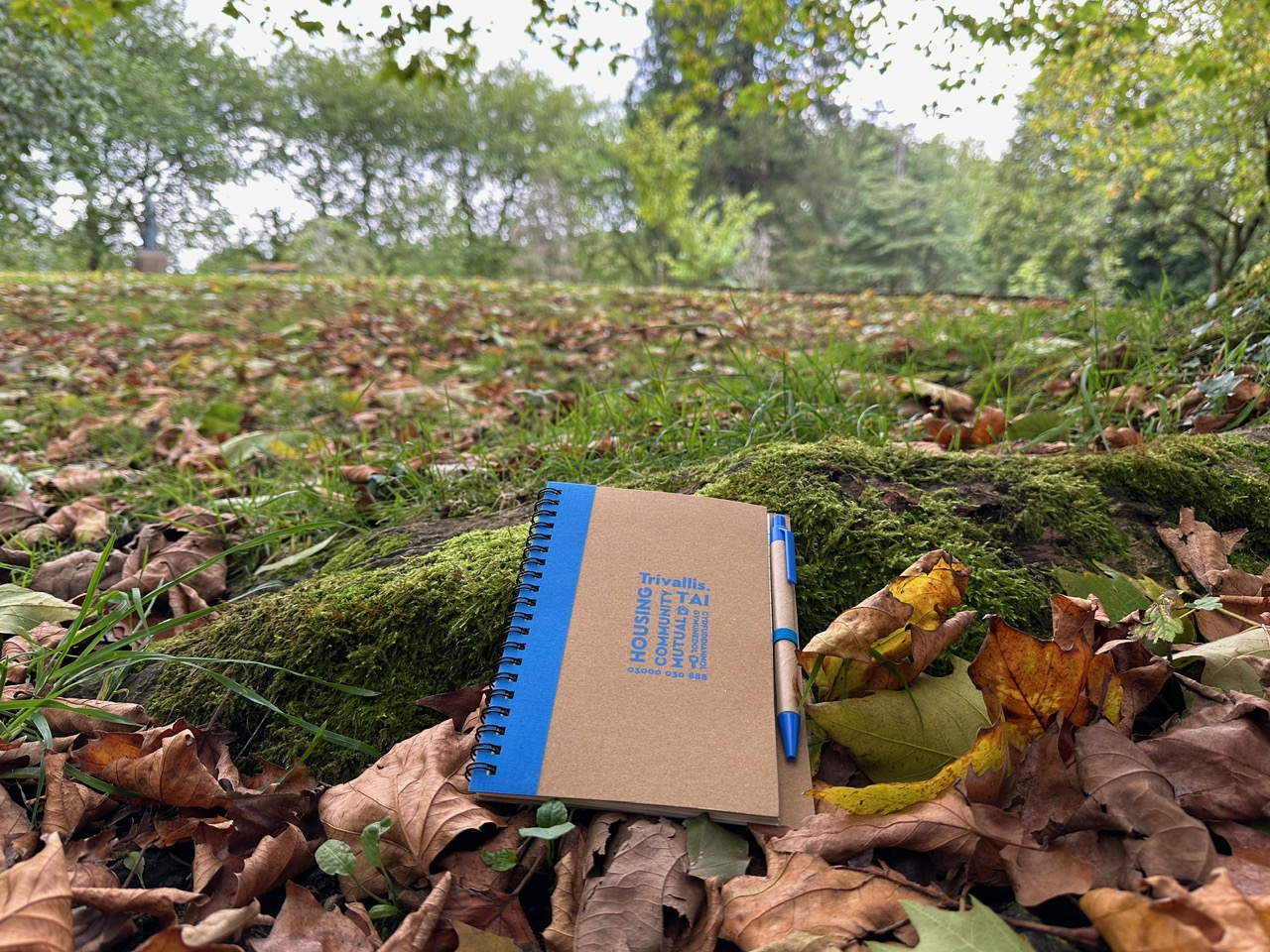 Trivallis Housing Landlord Wales A notebook with a blue pen rests on a moss-covered log surrounded by fallen leaves in a park. The background features green trees and a grassy area.