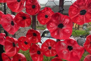 Trivallis Housing Landlord Wales A decorative fence covered with red poppies made from plastic bottles. The poppies are attached to a wire mesh, creating a vibrant display. The background features a grassy area, hills, and blurred buildings.